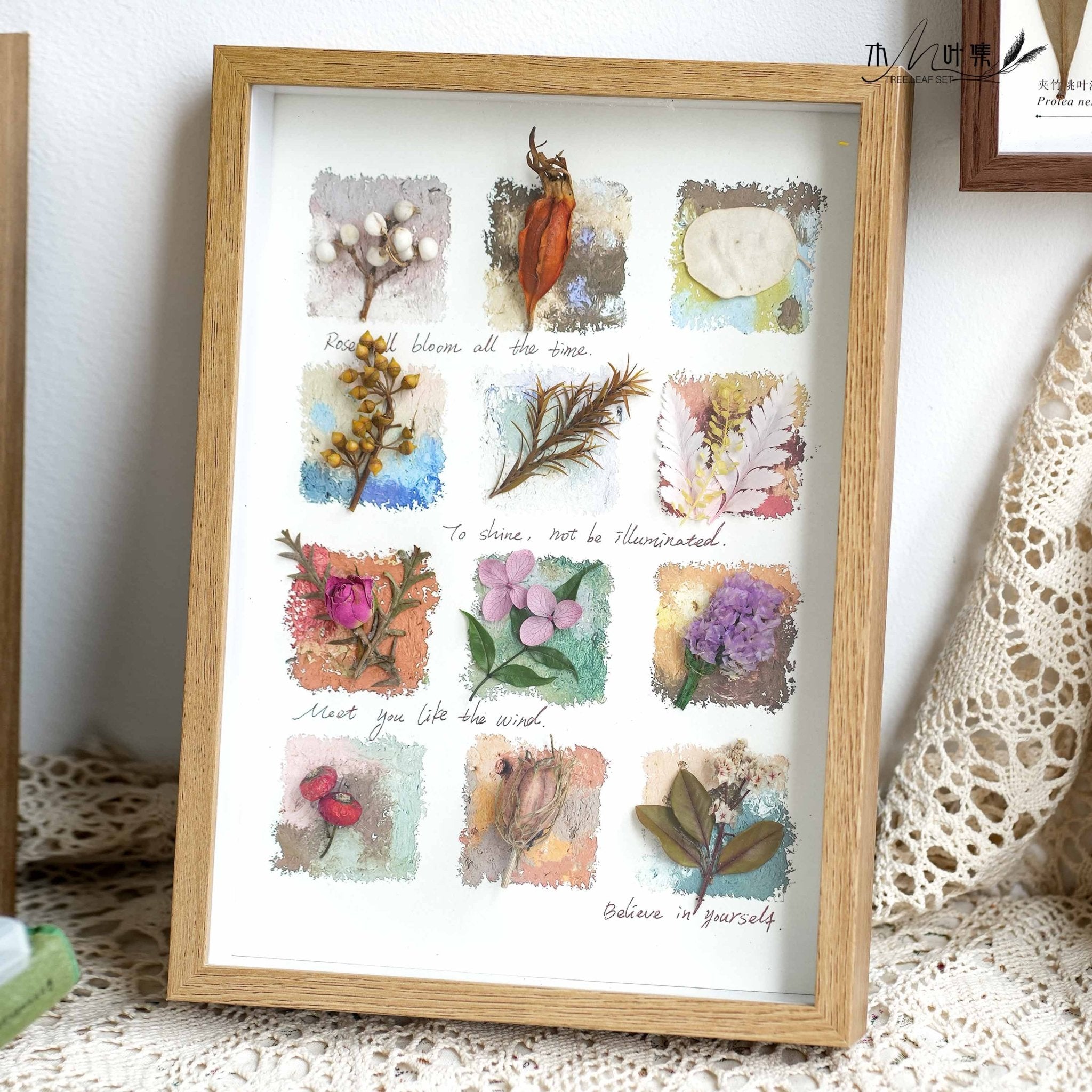 "Nature's Cabinet" - Real Botanical Specimen & Seed Shadow Box Art (A4 Size)