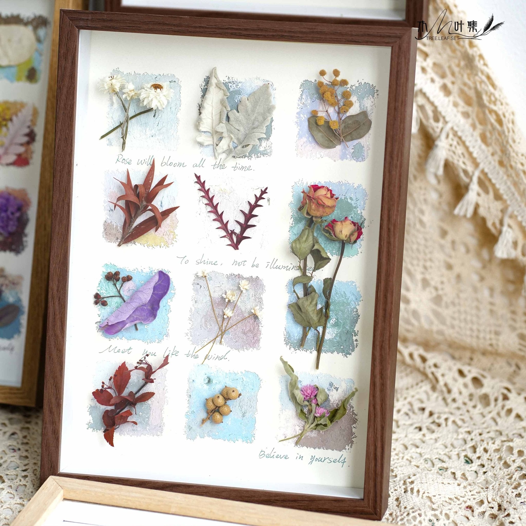 "Nature's Cabinet" - Real Botanical Specimen & Seed Shadow Box Art (A4 Size)