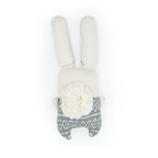 Nopalito Bunny
