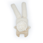 Nopalito Bunny