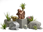 NUDE MALE BODY FIGURINE #1 AURA 8 HOME