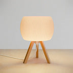 Orb Lamp-1