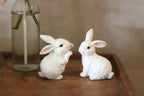 Ornament - Decorative White Wooden