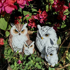 1 Set Realistic Resin Owl Statues - Garden Bird Deterrent Decor, Lifelike Outdoor/Indoor Scarecrow Owls with Expressive Eyes, Durable Weather-Resistant Animal Sculptures for Lawn, Patio, Tabletop - No Batteries/Electricity, O House Of Avana