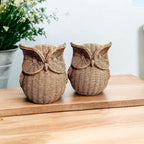 Owl Statue Gia Roma