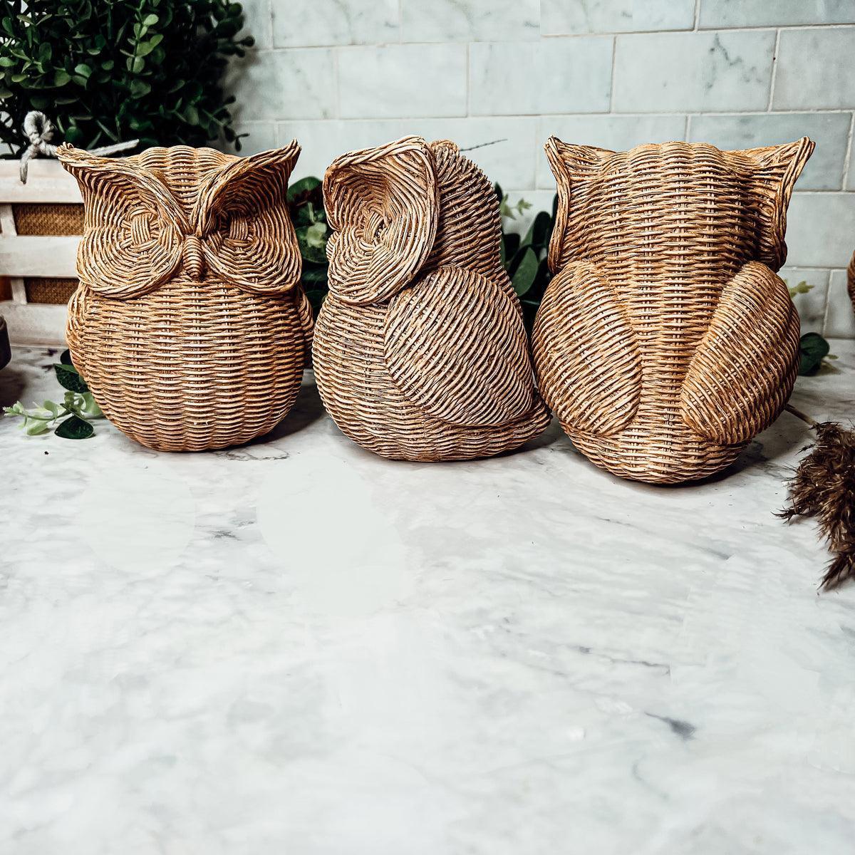 Owl Statue Gia Roma