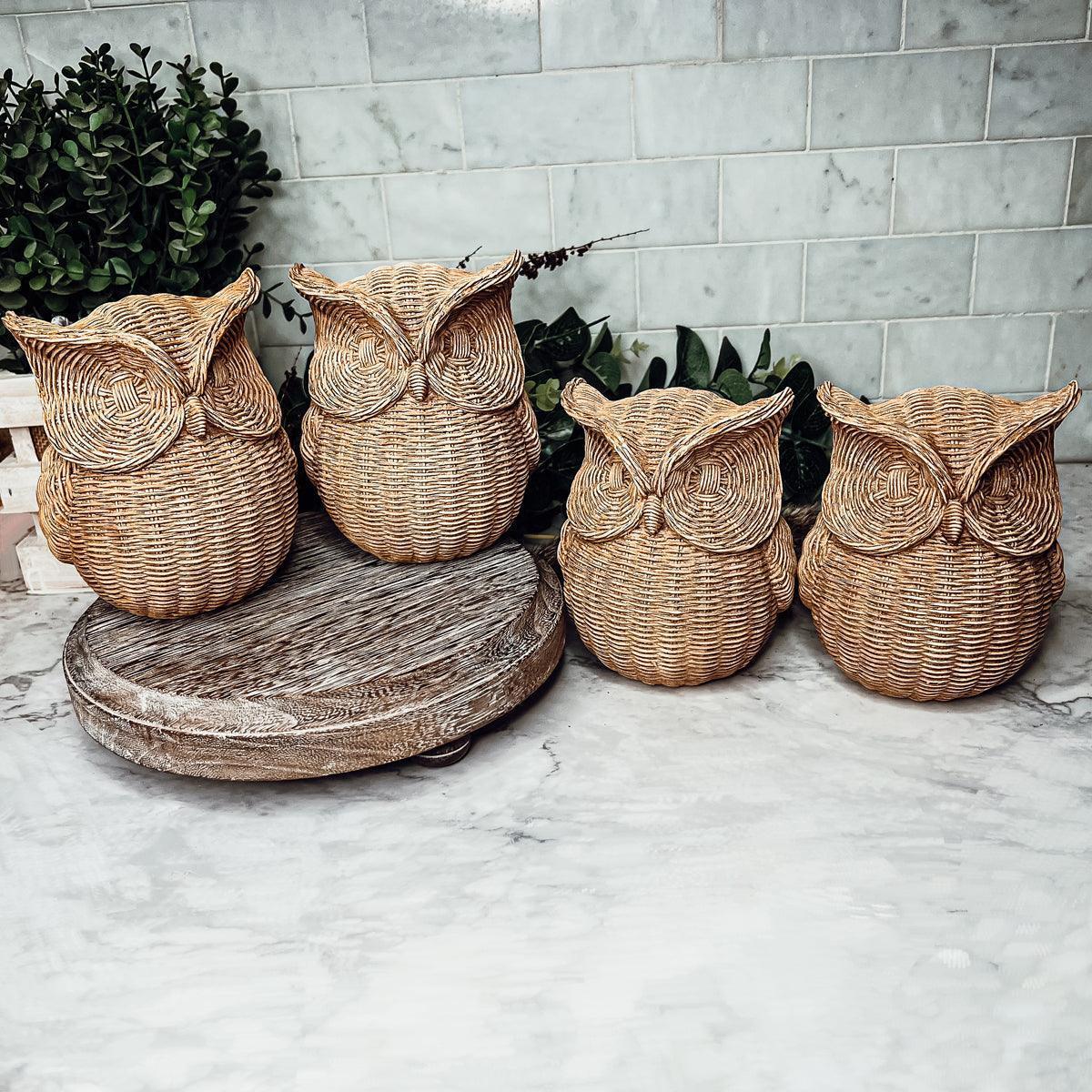 Owl Statue Gia Roma