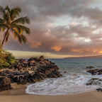 Pacific Islands: Tropical Candle Gift Set Fernweh Editions