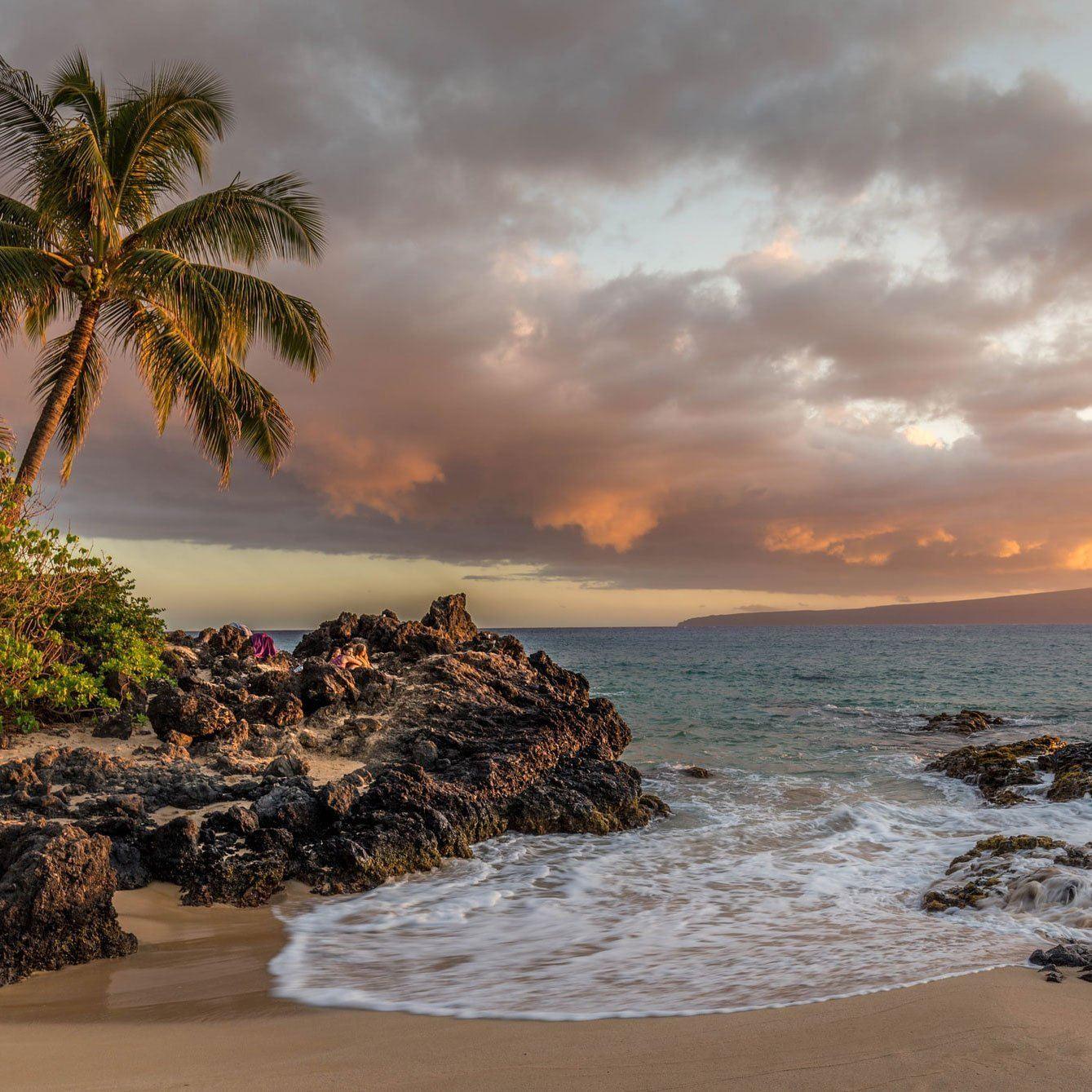 Pacific Islands: Tropical Candle Gift Set Fernweh Editions