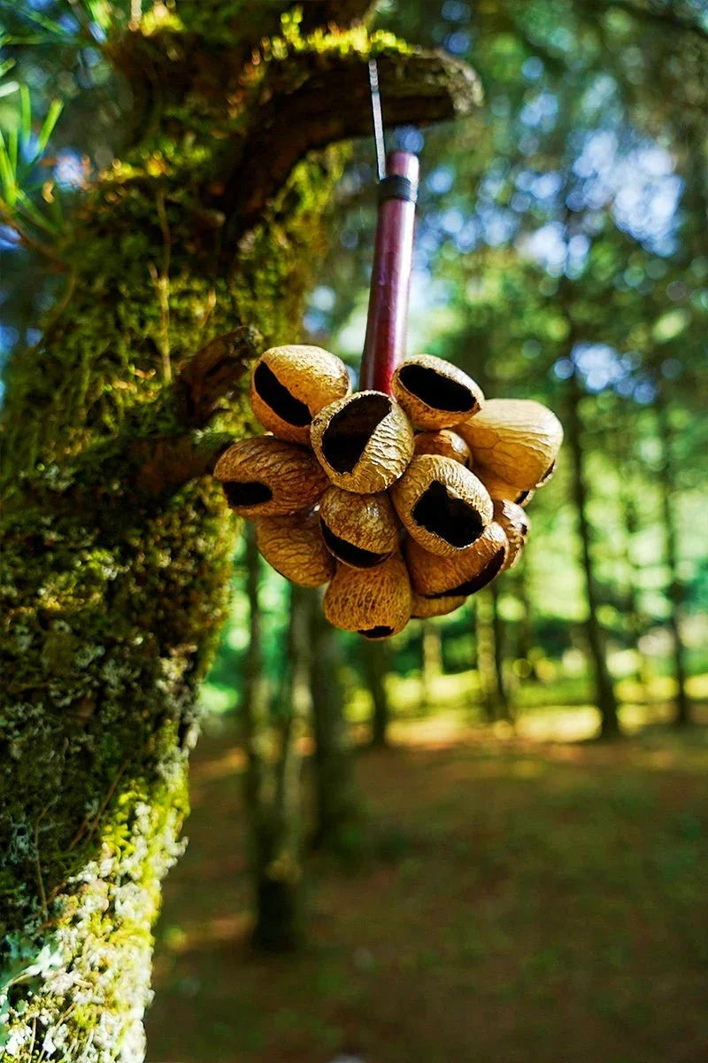 Panji Seed Pod Wooden Handle Shaker