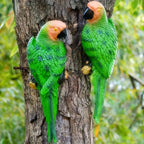 Resin Parrot Figurines Climbing Hanging Decor, Art Deco Style Alphabet Animal Theme, Garden Outdoor Ornament for Various Room Types, Perfect Gift for Girlfriend, Mom - Universal Holiday Decor, No Electricity Needed House Of Avana