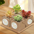 35 combination sets, 30pcs succulent bags with 5pcs thank you stickers, suitable for 2.5-inch flower POTS, Mini brown paper succulent gift basket with handles, perfect for weddings, birthdays, holidays, succulent party giveaw House Of Avana