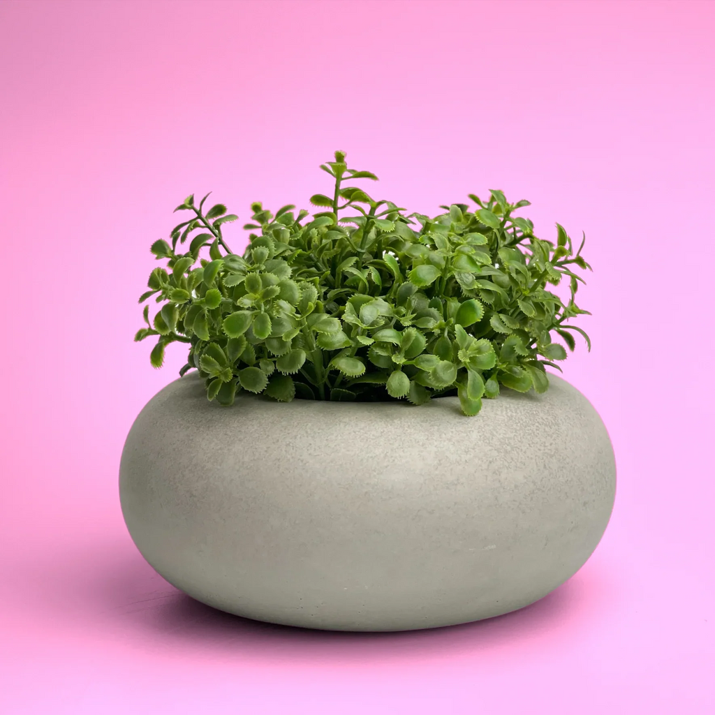 Perfect Succulent Planter, front view - House Of Avana