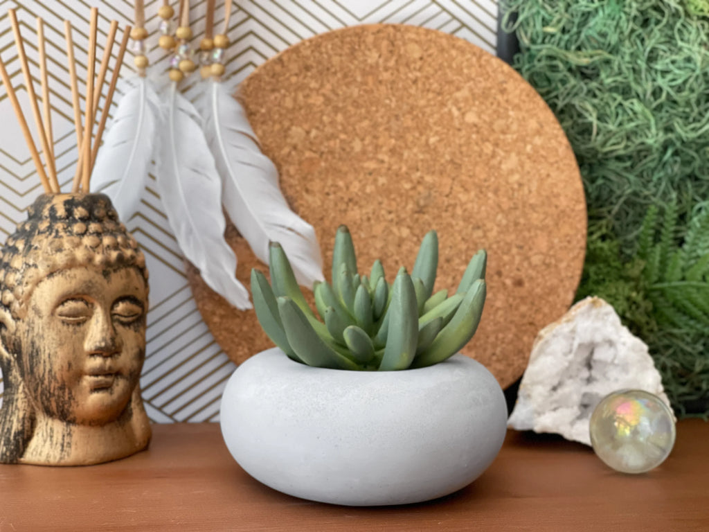 Perfect Succulent Planter AURA 8 HOME