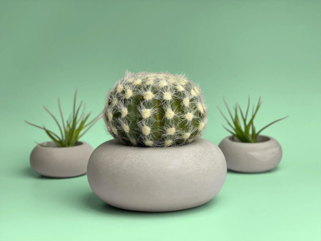 Perfect Succulent Planter, back view - House Of Avana