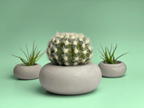 Perfect Succulent Planter, back view - House Of Avana