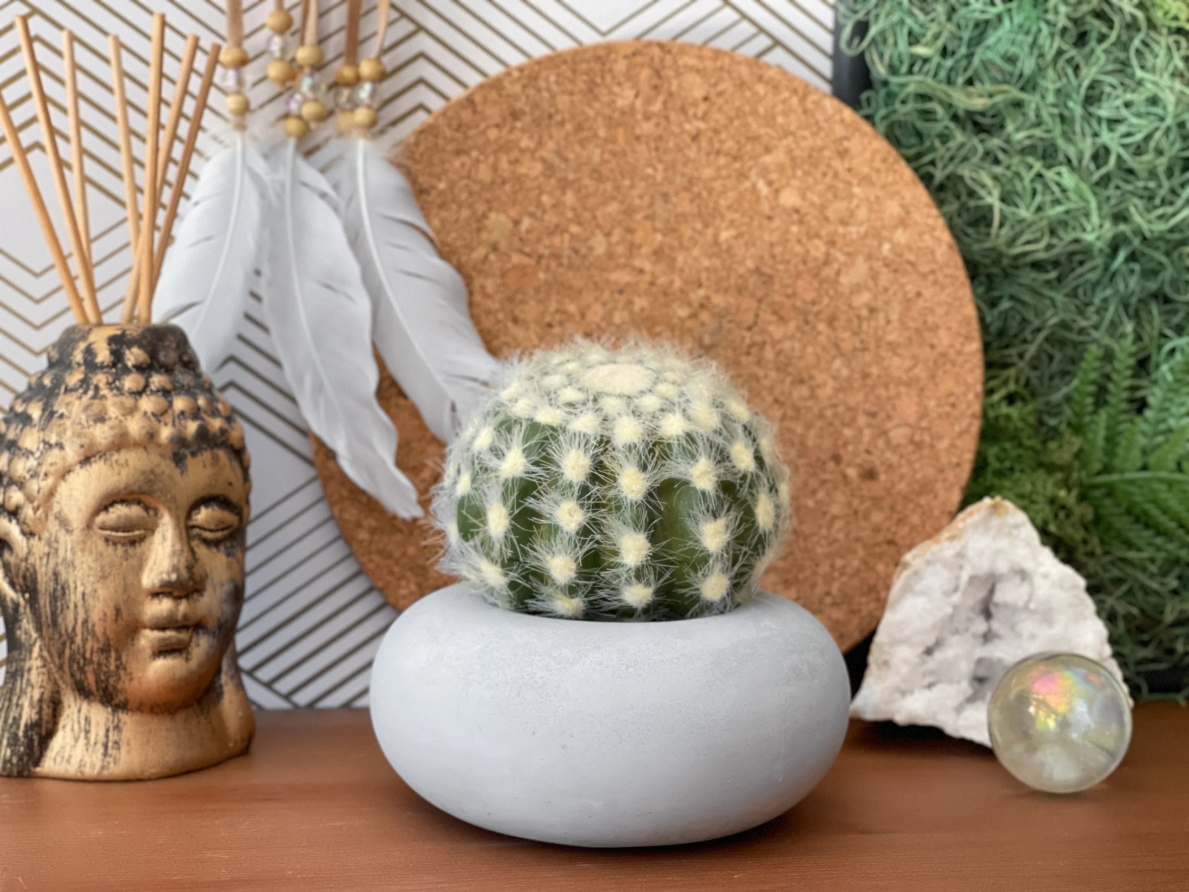 Perfect Succulent Planter AURA 8 HOME