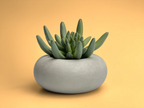 Perfect Succulent Planter, side view - House Of Avana