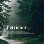 Petrichor - /ˈpetrīˌkôr/ - The Smell of Rain - ROOM & LINEN SPRAY Moon Water Apothecary