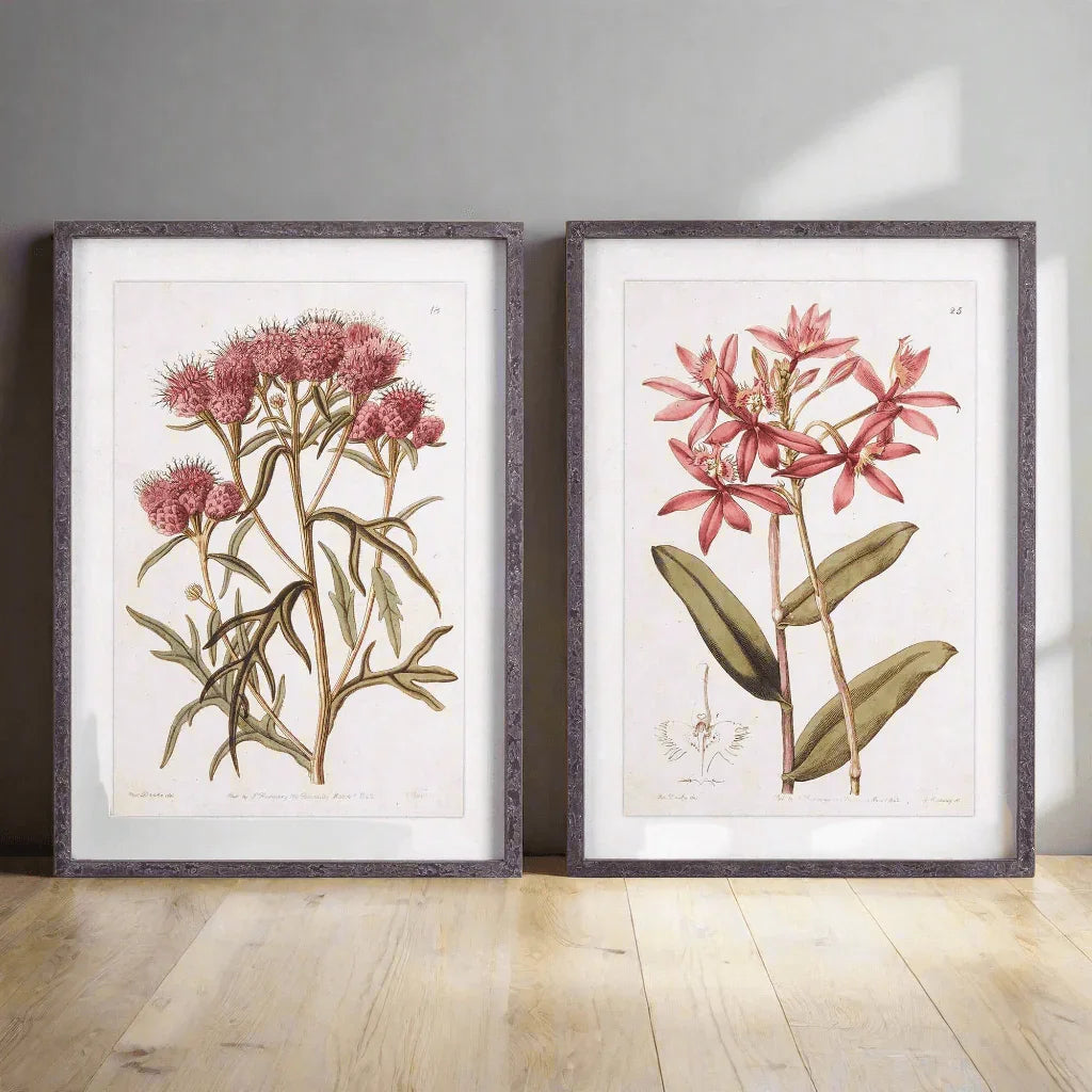 Pink Vintage Botanical Floral Prints (set of 2) - House Of Avana