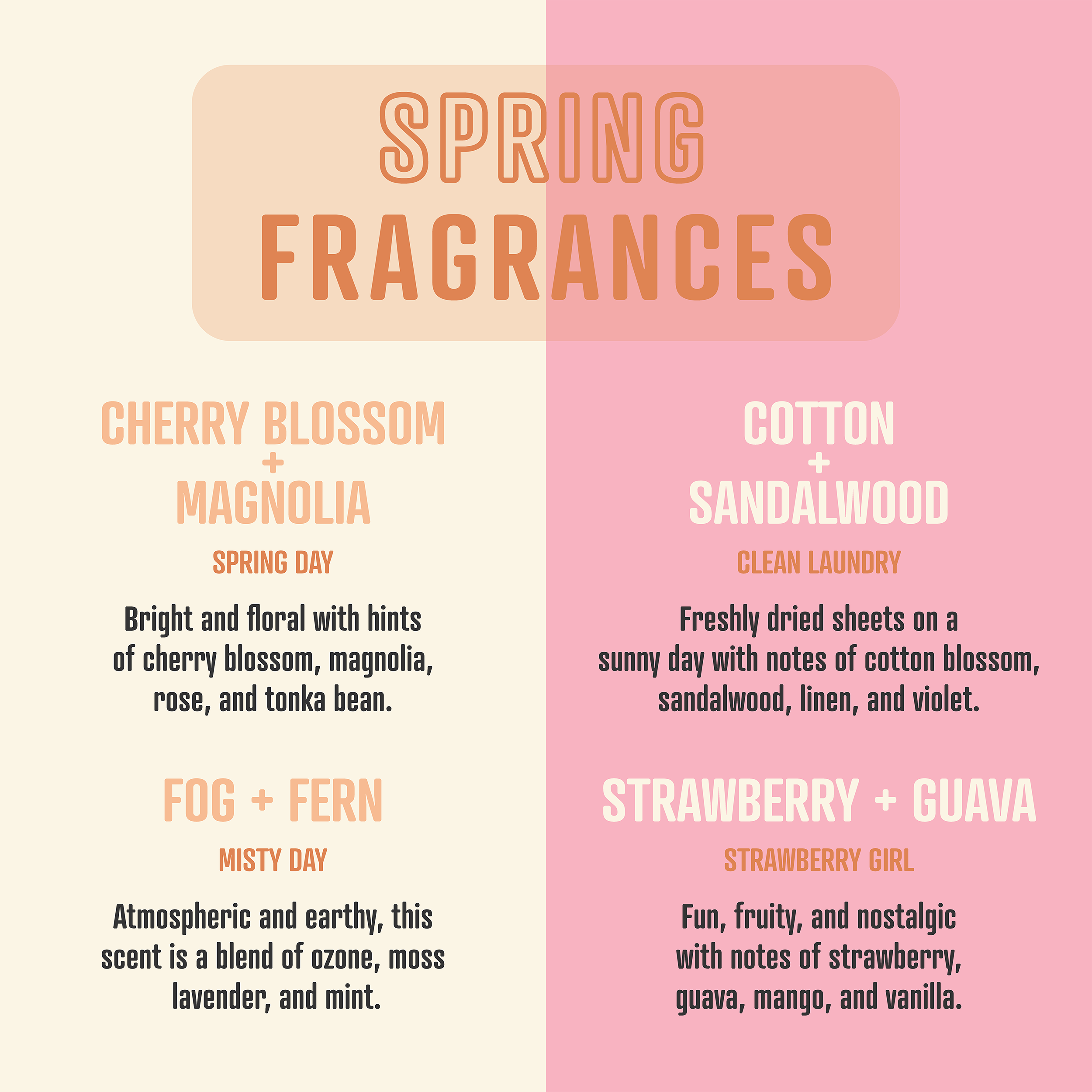 Pink Goes Good with Green | Soy Wax Scented Candle, lifestyle image - House Of Avana