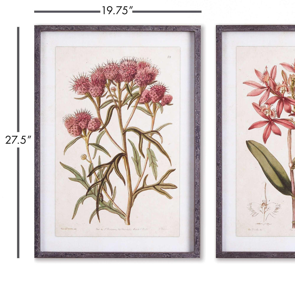 Pink Vintage Botanical Floral Prints (Set of 2) Vintage Shopper