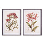 Pink Vintage Botanical Floral Prints (Set of 2) Vintage Shopper