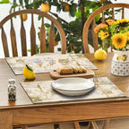 Placemats - Washable Multi-Color Set