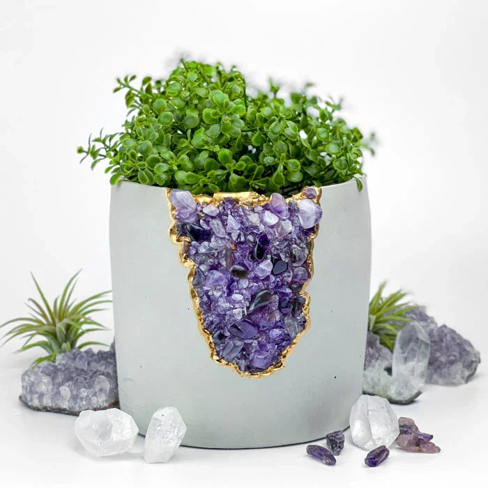 N°5 Amethyst Aura Planter - House Of Avana