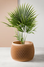 Honeycomb Planter, front view - House Of Avana