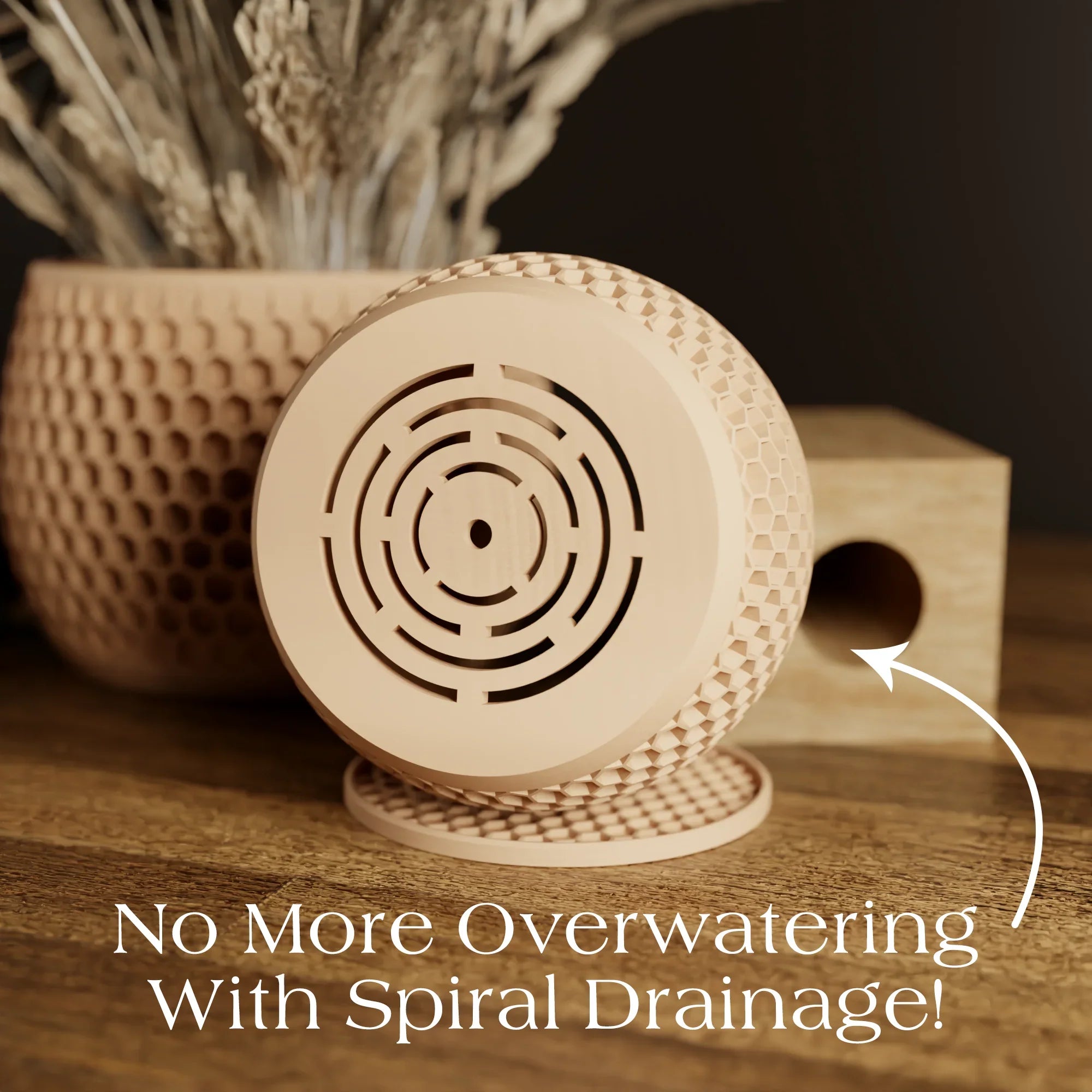 Honeycomb Planter, top view - House Of Avana