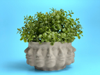 Multi Face Succulent Planter, lifestyle image - House Of Avana