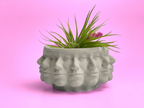Multi Face Succulent Planter, top view - House Of Avana