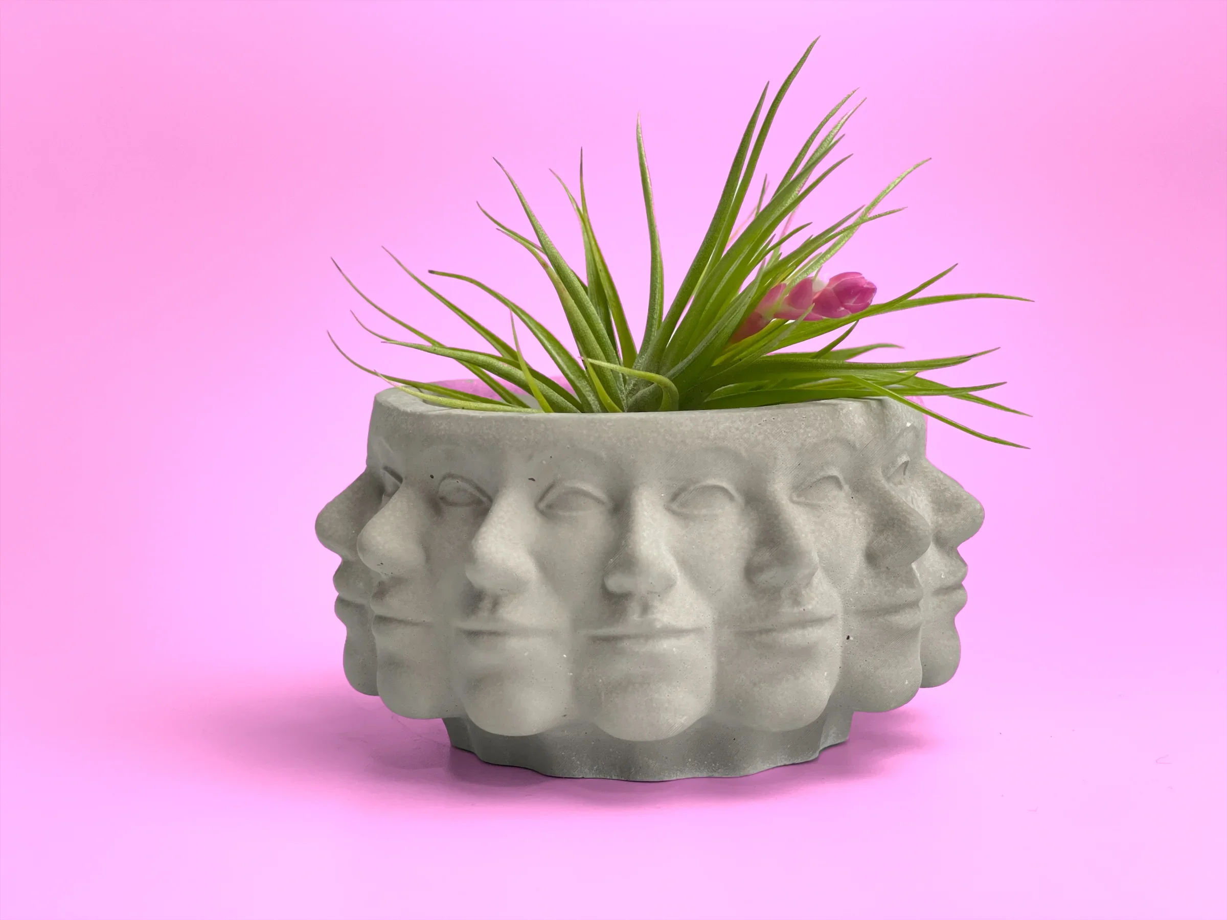 Multi Face Succulent Planter, top view - House Of Avana