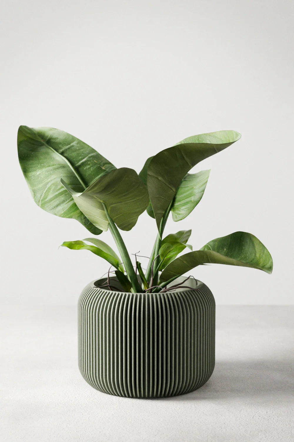 Orbis Planter, front view - House Of Avana