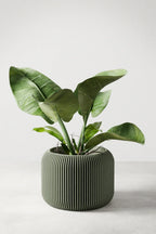 Orbis Planter - House Of Avana