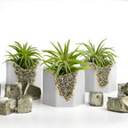 Pyrite Geode Planter, angled view - House Of Avana