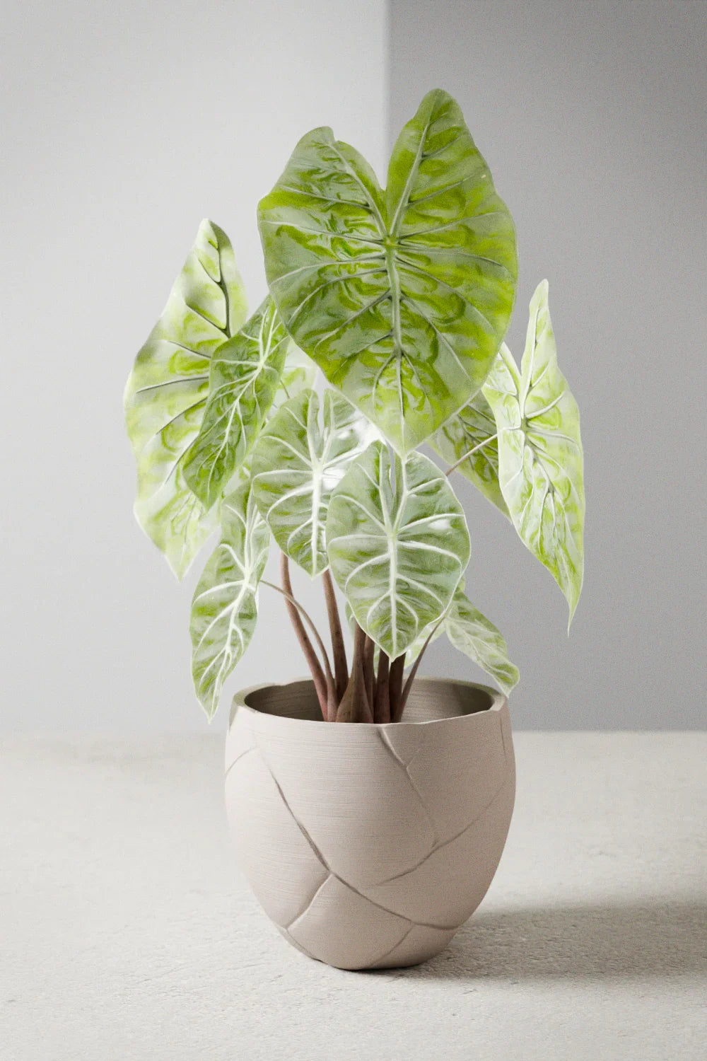 Quake Planter, front view - House Of Avana