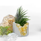 Raw Citrine Geode Planter - House Of Avana