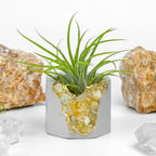Raw Citrine Geode Planter - House Of Avana