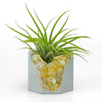 Raw Citrine Geode Planter - House Of Avana