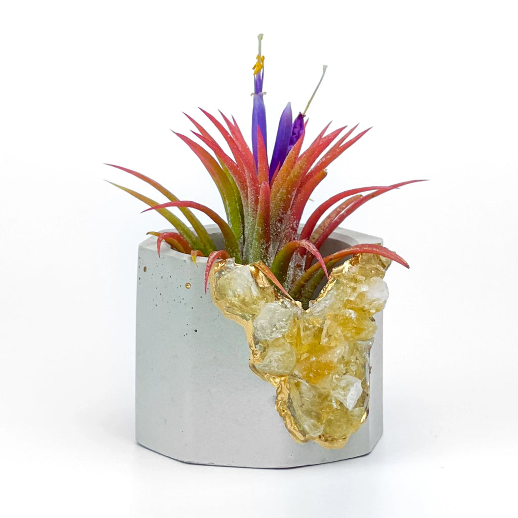 Raw Citrine Geode Planter - House Of Avana