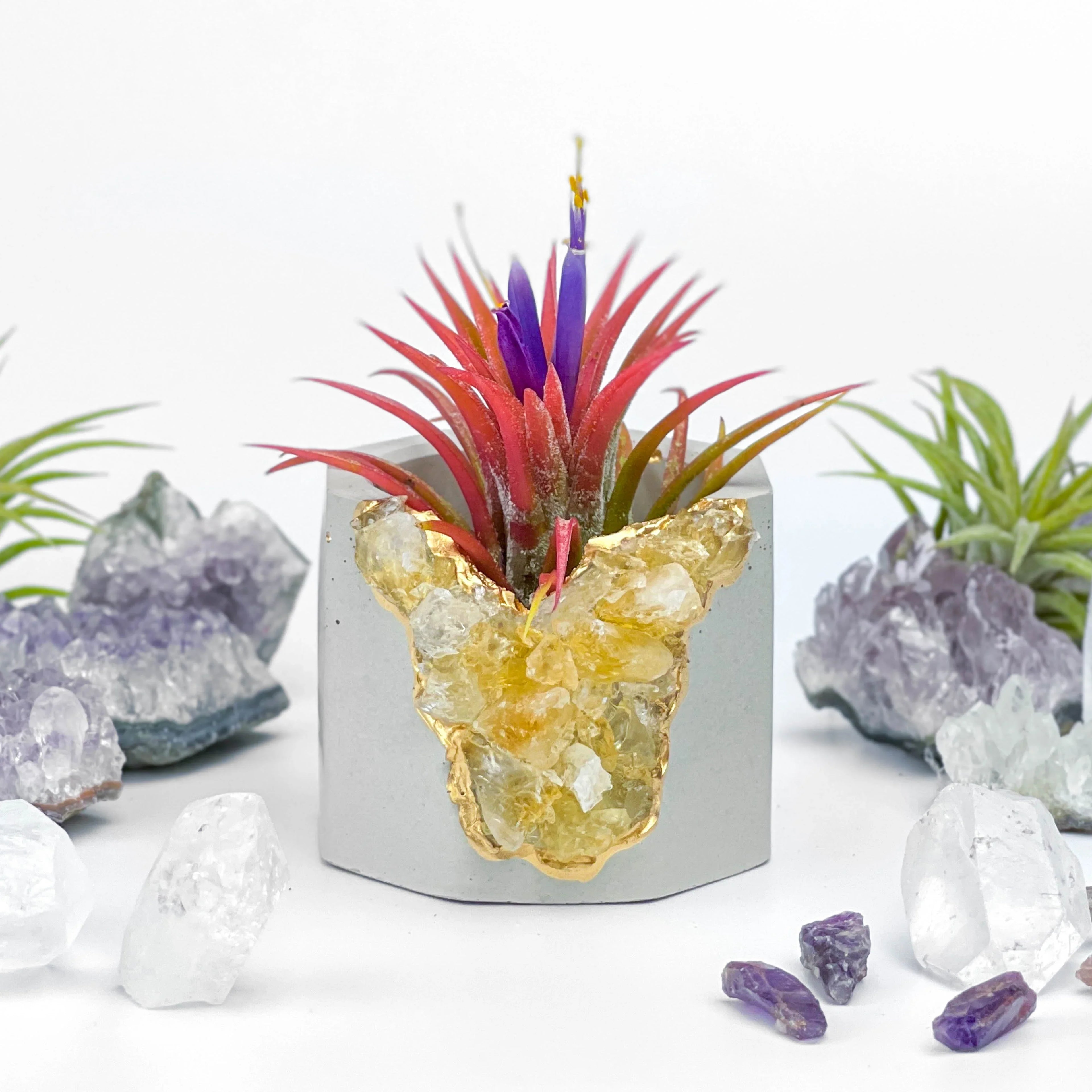 Raw Citrine Geode Planter - House Of Avana