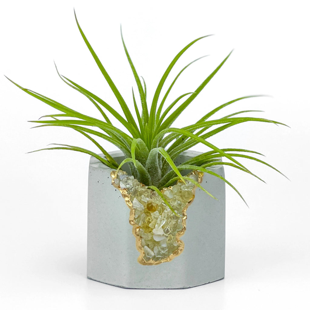 Natural Citrine Geode Planter Box with Layered Stone Detail, lifestyle image - House Of Avana