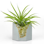 Natural Citrine Geode Planter Box with Layered Stone Detail, lifestyle image - House Of Avana