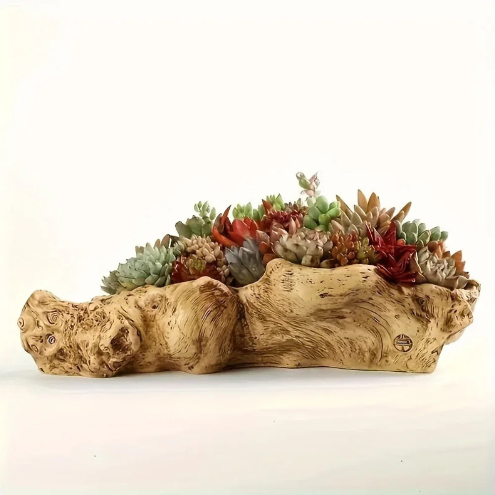 Vintage Wood Bark Planter for Succulents - House Of Avana