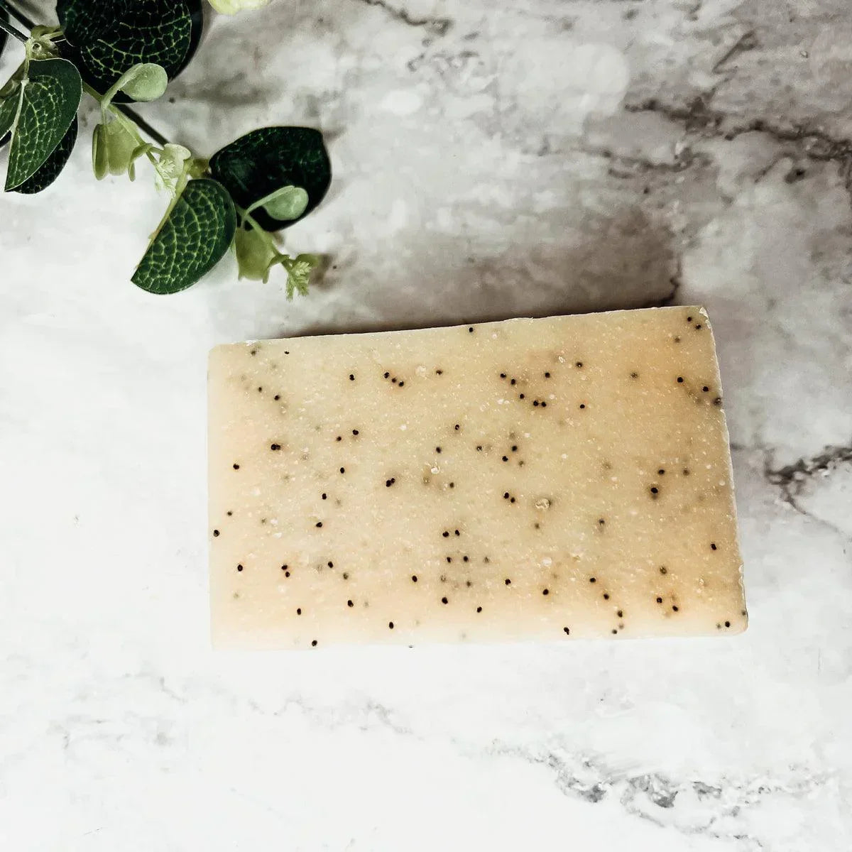 Poppy Seed Exfoliant-Olive-Sunflower Gia Roma