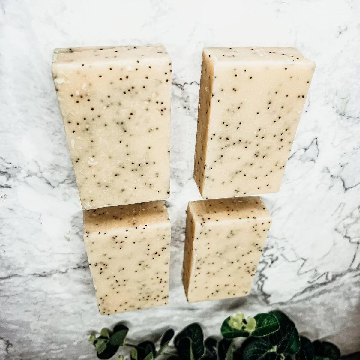 Poppy Seed Exfoliant-Olive-Sunflower Gia Roma