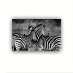 Vintage Gentle Zebra Postercanvas Print Poster, Perfect Aesthetic Accent, Vibrant Artwork for Gift, Home... - House Of Avana