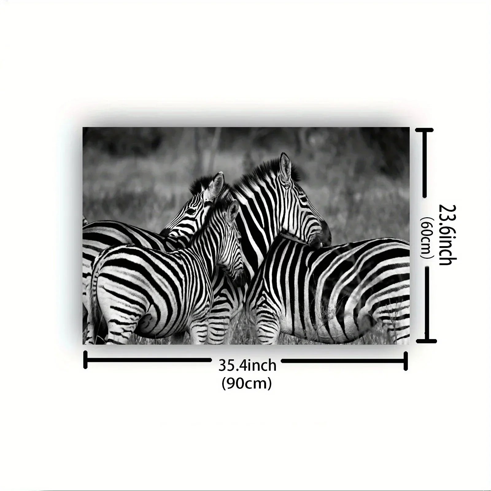 Vintage Gentle Zebra Postercanvas Print Poster, Perfect Aesthetic Accent, Vibrant Artwork for Gift, Home... - House Of Avana